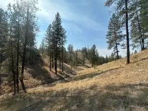 5699 C Hwy 231, FORD, WA 99013