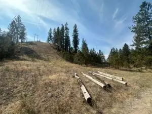 5699 C Hwy 231, Ford, WA 99013 - Image #3