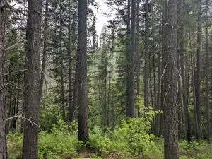 TBD Bia Rd. 56, Colville Reservation, WA OTHER - #2
