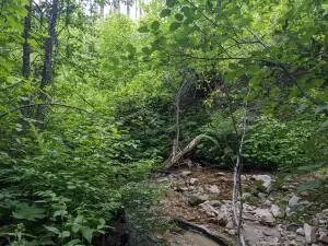 TBD Bia Rd. 56, Colville Reservation, WA OTHER - #3