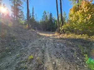 25XX Burgess Rd, Addy, WA 99101 - Image #3