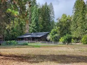 451 Monumental Rd, Colville, WA 99114 - #2