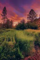 38010 N Redwine Canyon Rd, LINCOLN, WA 99147