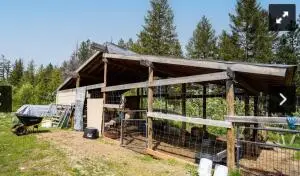 4 Paxson Ln, Kettle Falls, WA 99141 - Image #3