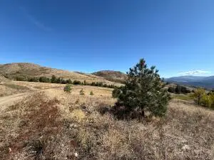 TBD Honeysuckle Ln, Curlew, WA 99118 - Image #2