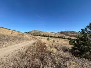 TBD Honeysuckle Ln, Curlew, WA 99118 - Image #3