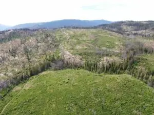 XX Matsen Creek Rd, Kettle Falls, WA 99141 - Image #3