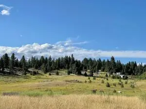 2384 Wild Heart Way, Kettle Falls, WA 99141 - Image #1