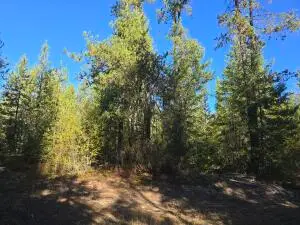 XXX Red Tail Way, COLVILLE, WA 99114