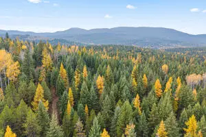 2094 Clugston Onion Creek Rd, Colville, WA 99114 - #1