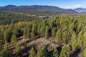 2094 Clugston Onion Creek Rd, Colville, WA 99114 - #2