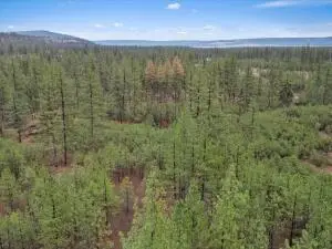 7770 Wa-291 C, Ford, WA 99013 - Image #3