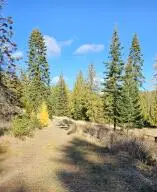 717 B Finley Gulch Rd, Colville, WA 99114 - Image #2