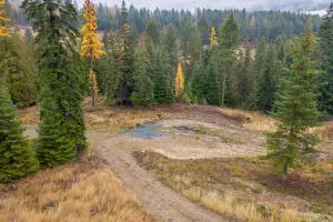 717 C Finley Gulch Rd, Colville, WA 99114 - Image #3