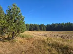 2XXX Quinns Meadow Rd, Colville, WA 99114 - #2