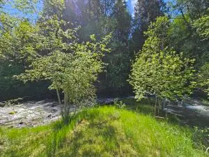 3185 Aladdin Rd, Colville, WA 99114 - Image #2