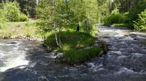 3185 Aladdin Rd, Colville, WA 99114 - Image #3