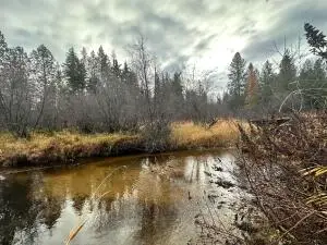 1496 E Hwy 20 #r, Colville, WA 99114 - #1