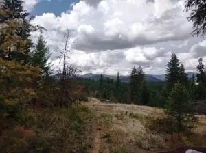 5105 Rose Hill Rd, Springdale, WA 99173 - Image #2