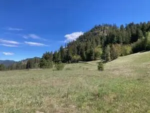 3500 Rockcut Rd, Kettle Falls, WA 99141 - #3