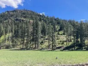 35XX Rockcut Rd, Kettle Falls, WA 99141 - #1
