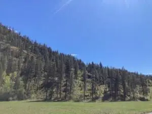 35XX Rockcut Rd, Kettle Falls, WA 99141 - #2