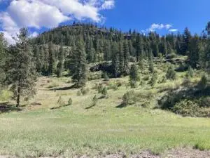 35XX Rockcut Rd, Kettle Falls, WA 99141 - #3