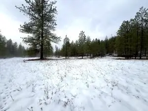 122 Art Creek Rd, Malo, WA 99150 - Image #1