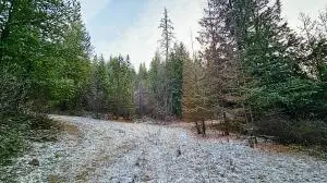 26XX Burnt Valley Rd, Chewelah, WA 99109 - Image #2