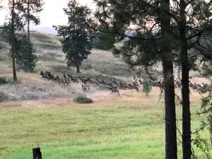 000 U.s. 395 Hwy, Valley, WA 99181 - Image #1