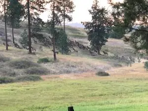 000 U.s. 395 Hwy, Valley, WA 99181 - Image #2