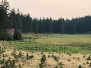 000 U.s. 395 Hwy, Valley, WA 99181 - Image #3