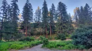 38010 N Redwine Canyon Rd, Lincoln, WA 99147 - Image #1