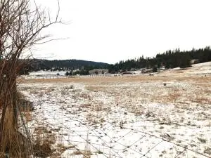 789 Kitt Narcisse Rd, Colville, WA 99114 - Image #2