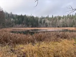 XX S Bobier Rd, NEWPORT, WA 99156