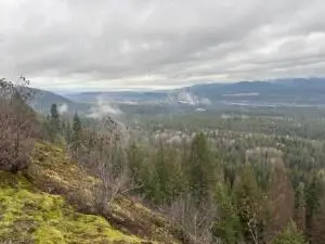 XX S Bobier Rd, Newport, WA 99156 - Image #2