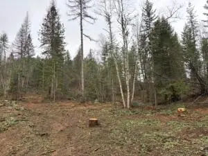 XX S Bobier Rd, Newport, WA 99156 - Image #3