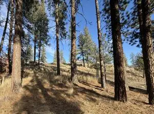 TBD Adams St, Republic, WA 99166 - Image #3