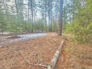 270 Eagle Dr, Chewelah, WA 99109 - #2