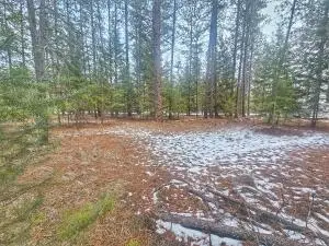 270 Eagle Dr, Chewelah, WA 99109 - #3