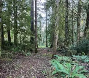 17616 30th St, Home, WA OTHER - #1