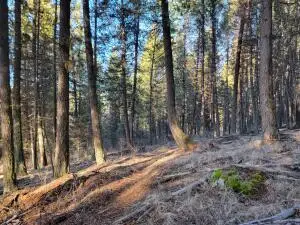 TBD Lundimo Meadow Rd, Curlew, WA 99118 - #2