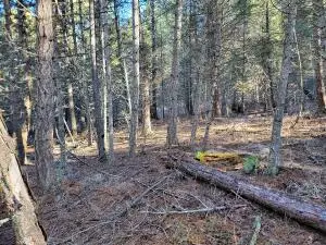 TBD Lundimo Meadow Rd, Curlew, WA 99118 - #3