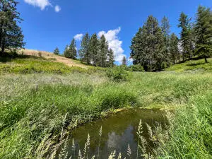 598 N Hwy 395, Kettle Falls, WA 99141 - #3