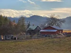 2477 Cedonia Addy Rd, Addy, WA 99101 - #2