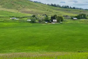 2694 Bridgeman-rettinger Rd, Kettle Falls, WA 99141 - #2