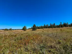 52XX LOT 1 S Swenson Rd, Deer Park, WA 99006 - #2