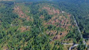 52XX LOT 5 S Swenson Rd, DEER PARK, WA 99006