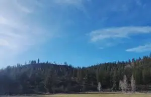 27XX Northport Flat Creek Rd, Kettle Falls, WA 99141 - #1