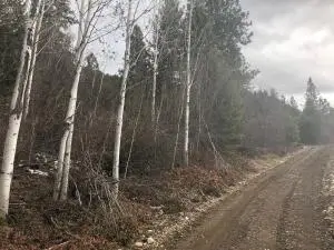 40XX N Stone Mountain Way, Colville, WA 99114 - #3